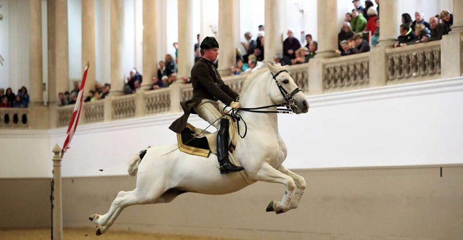 Performance Of The Lipizzans At Spanish Riding School - Why the riding hall is part of the experience