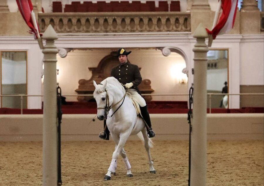 Performance Of The Lipizzans At Spanish Riding School - The long training behind a short movement