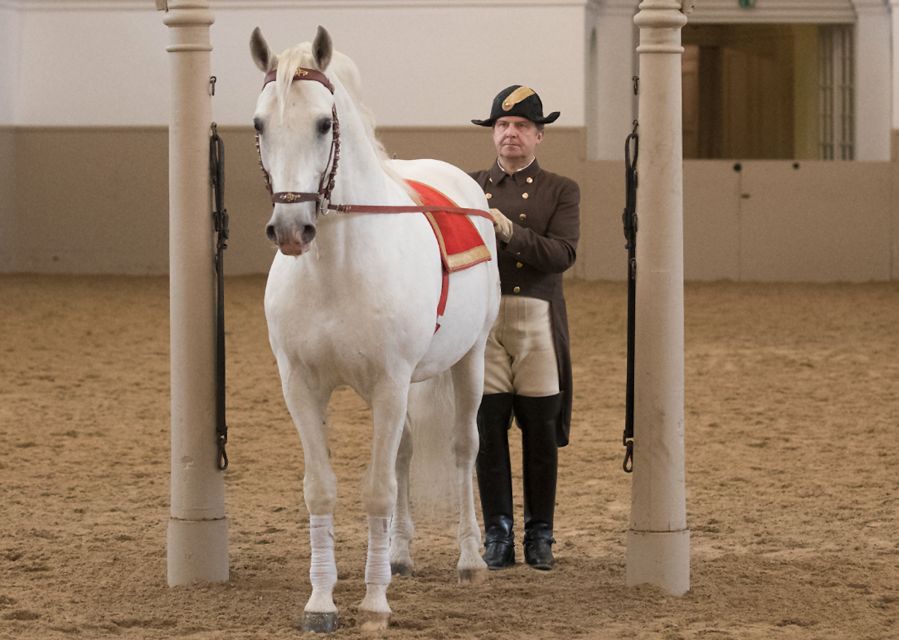 Performance Of The Lipizzans At Spanish Riding School - Is the performance good value?