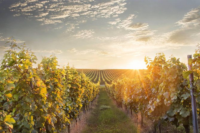 Prague-Vienna One-Way Sightseeing Day Tour - Mikulov: Moravian wine country in two hours