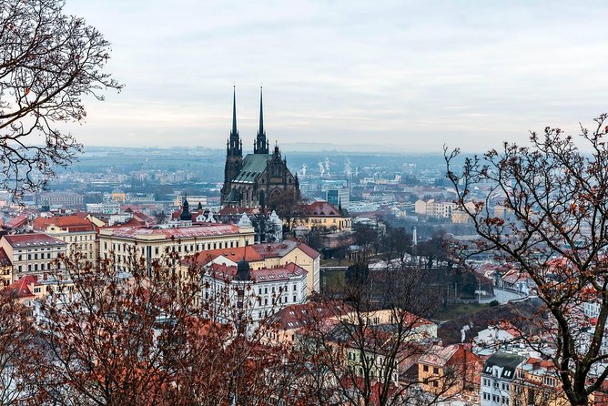 Prague-Vienna One-Way Sightseeing Day Tour - The guide can make or break the day