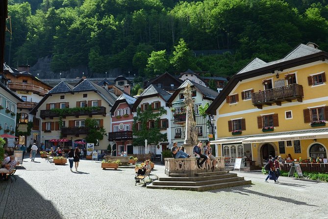 Private Day Tour Trip Salzburg Hallstatt and Melk from Vienna - What the driver does, and what you do