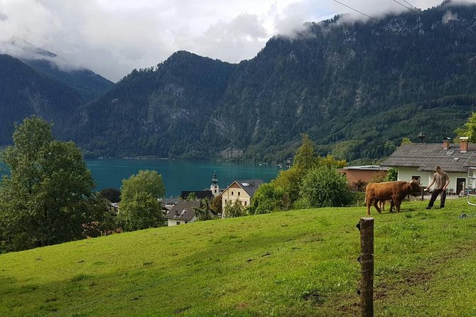 Private Day Trip from Vienna to Hallstatt - Price, party size, and value