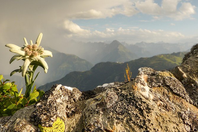 Private Eagle's Nest & The Hills are Alive - Lakes, villages, and the wedding basilica