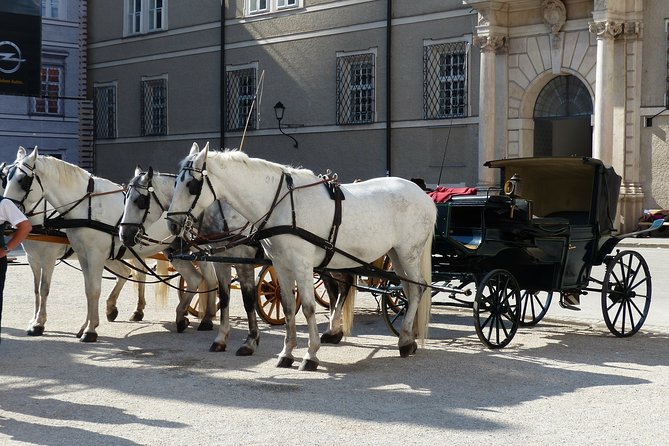 Private full day tour to Salzburg from Vienna with a local guide - Private guides, drivers, and the value for three people