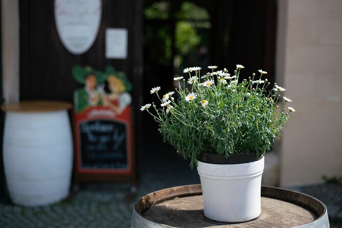 Private Guided Full Day Tour to charming Burgenland region with Wine tasting - Returning to Vienna after a full day