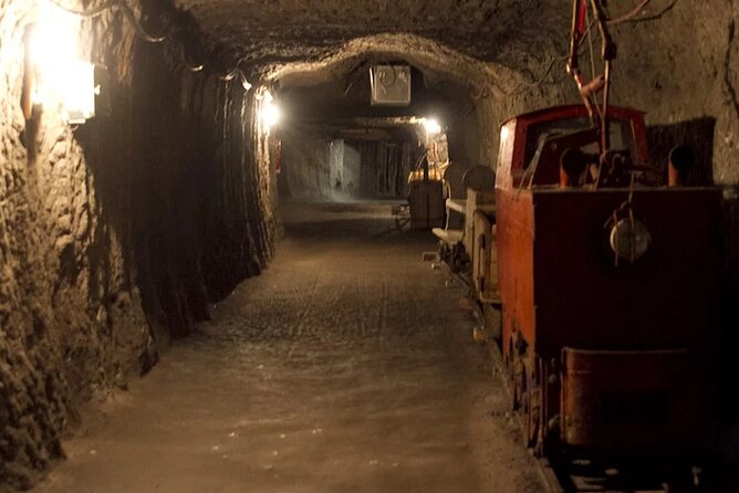 Private guided tour from Vienna to Hallstatt with Skywalk & Salt Mine Experience - Is $599 per person good value?