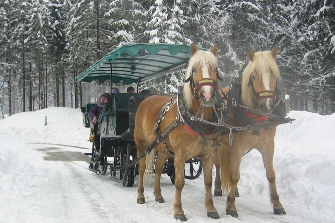Private Horse-Drawn Sleigh Ride from Salzburg - The small details that make the day special