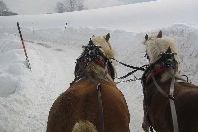Private Horse-Drawn Sleigh Ride from Salzburg - What the horse ride feels like