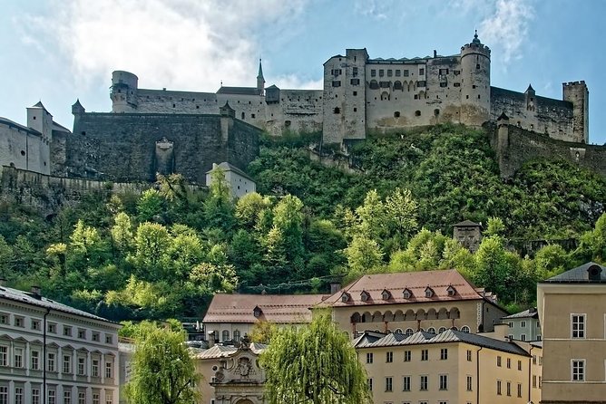 Private Scenic Transfer from Vienna to Salzburg with 4h of Sightseeing - Vehicle choices and the luggage warning
