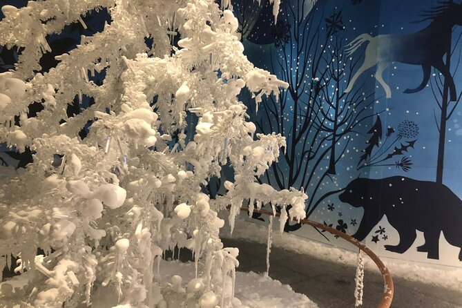 Private Tour of Swarovski Crystal World from Innsbruck - Booking details and practical limits