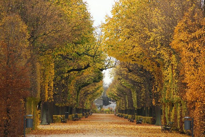 Private transfer from Salzburg to Vienna, 2 hours for sightseeing - Timing is the detail you must get right