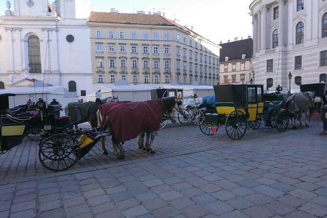 Private Transfer from Venice to Vienna or Vienna to Venice - Choosing the right vehicle for your luggage