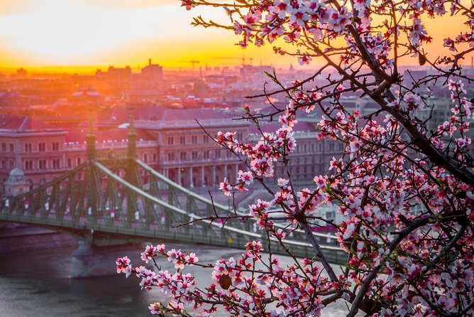Private Transfer from Vienna to Budapest with 2 hours for sightseeing - The driver makes or breaks the experience
