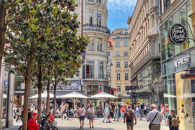 Private Vienna Walking Tour with Private Local Guide - Ending at Karlsplatz