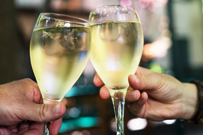 Private Vienna Wine Tour with Top Austrian Wines and Tapas - Nine Austrian wines instead of a quick sample