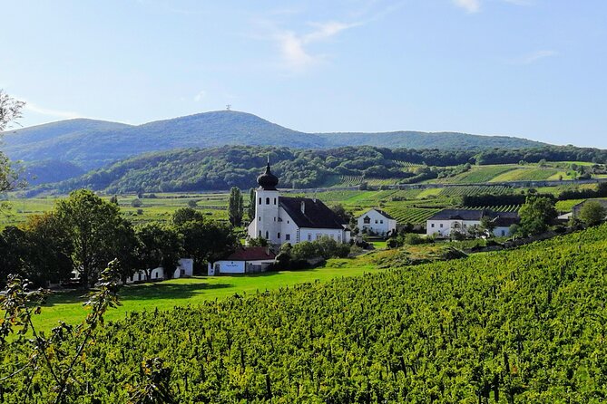 Private Vienna Woods Wine Tour - Why the Vienna Woods make a smart day trip