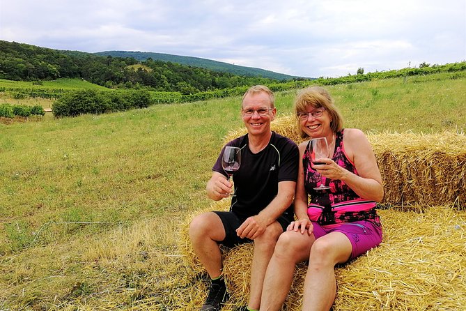 Private Vienna Woods Wine Tour - How much value do you get for $960.07?