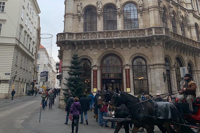 Private World War II Walking Tour in Vienna - The Karl Lueger Monument opens a difficult discussion