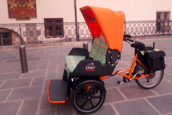 RAXI (E-Rickschaw) big private Vienna tour - What the guide adds to the ride