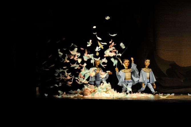 Salzburg Marionette Theater: The Magic Flute - What is not included