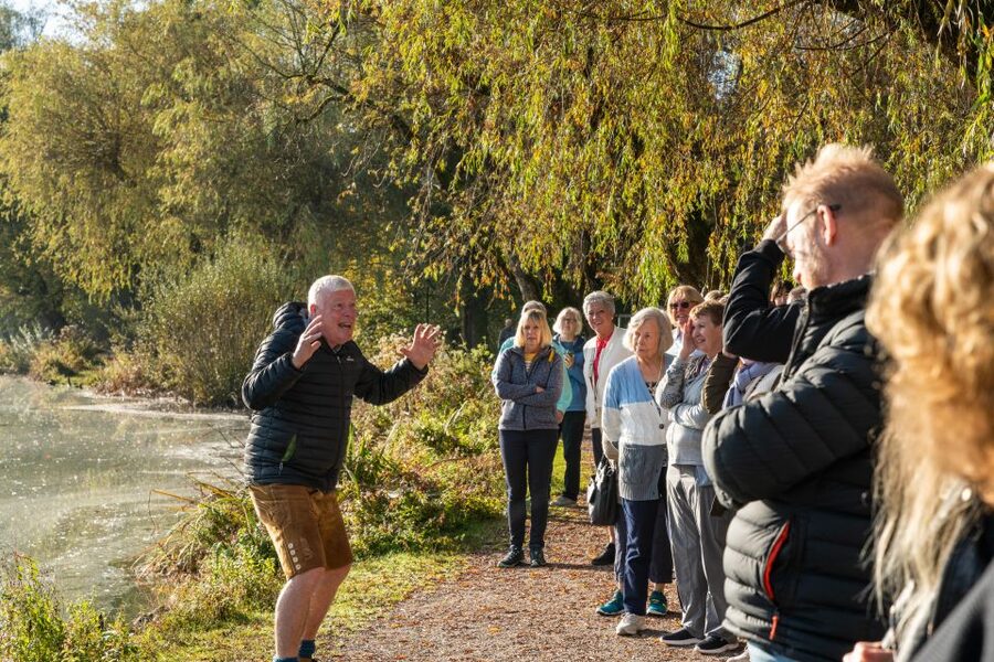 Salzburg: Original Sound of Music Tour - What the guide adds to the experience
