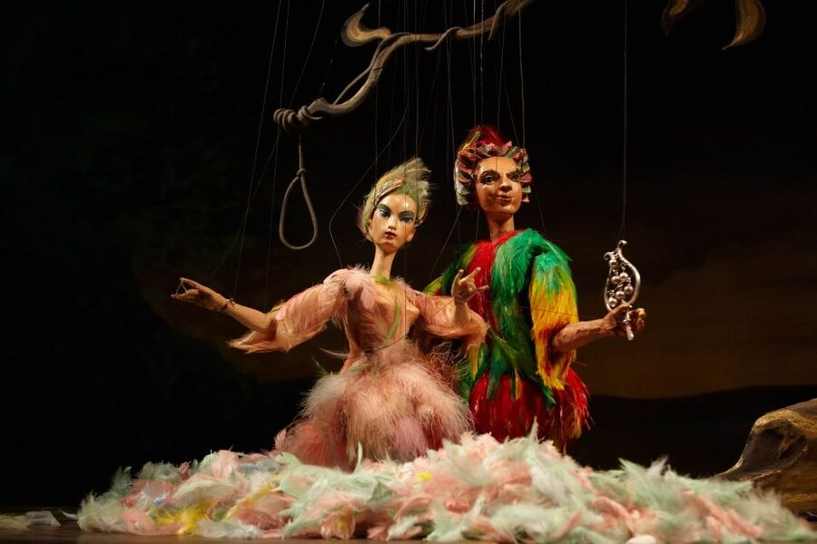 Salzburg: The Magic Flute at Marionette Theater Ticket - Is the music live?