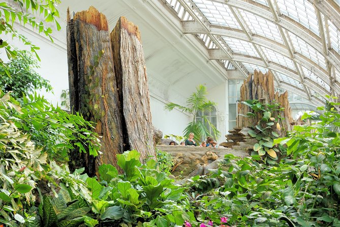 Schmetterlinghaus - Imperial Butterfly House Vienna Admission Ticket - What you see inside the Palm House