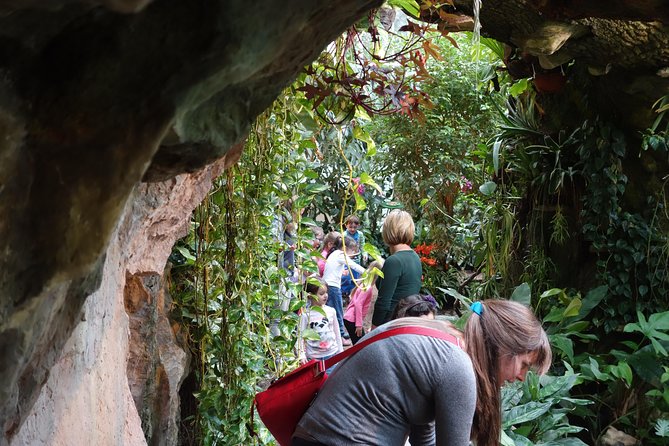 Schmetterlinghaus - Imperial Butterfly House Vienna Admission Ticket - Heat, humidity, and crowds