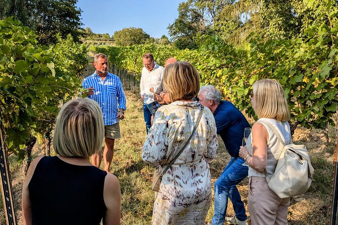 Small-group Vienna Wine Tour - What happens at the traditional Heuriger