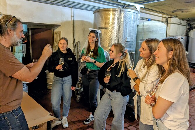 Small-group Vienna Wine Tour - A note about the Vienna city-center description