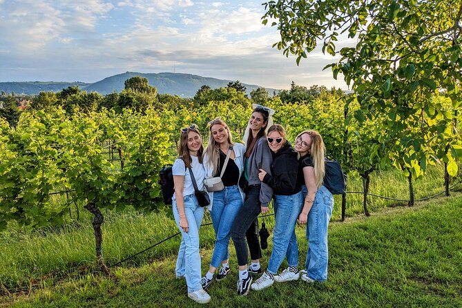 Small-group Vienna Wine Tour - Meeting at Tegetthoff-Denkmal at 2:30 pm