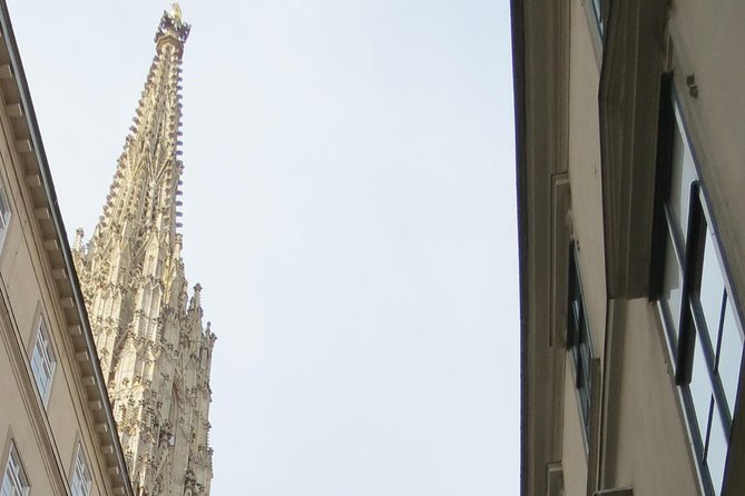 St. Stephen's cathedral - old symbol newly discovered - Key points to know before you book