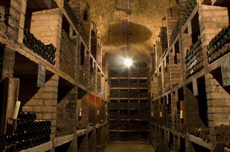 Taste and Tour Small Organic Wineries with a Winemaker - Should you book this Krems wine tour?