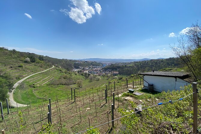 Taste and Tour Small Organic Wineries with a Winemaker - Why this wine tour feels different from a standard tasting
