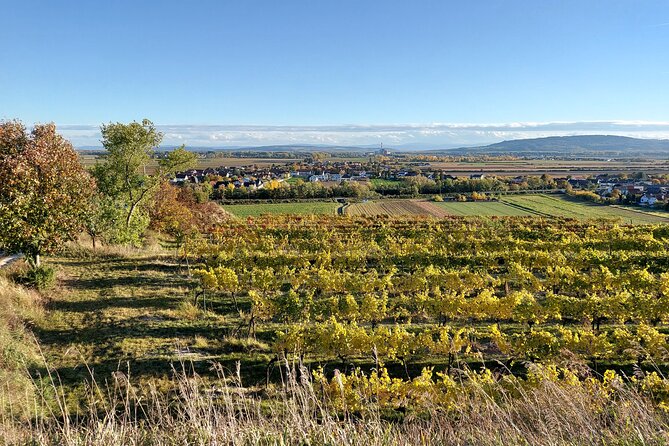 Taste and Tour Small Organic Wineries with a Winemaker - Mantlerhof and centuries of family winemaking