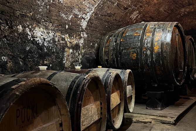 Taste and Tour Small Organic Wineries with a Winemaker - Feldtheorie in Schönberg am Kamp