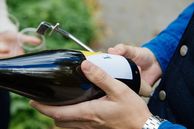 Taste and Tour Small Organic Wineries with a Winemaker - WeinSchach and the challenge of Pet Nat