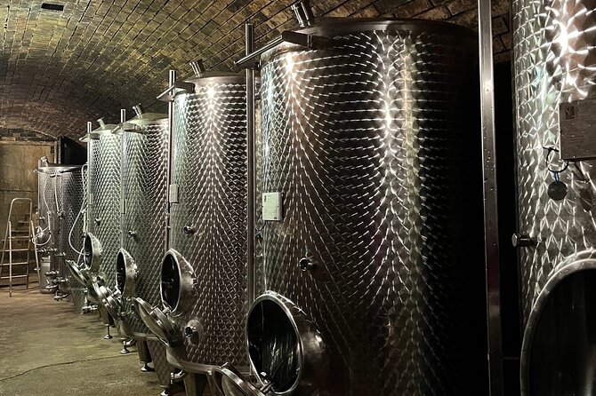 Taste and Tour Small Organic Wineries with a Winemaker - The final vineyard walk and Danube-region view