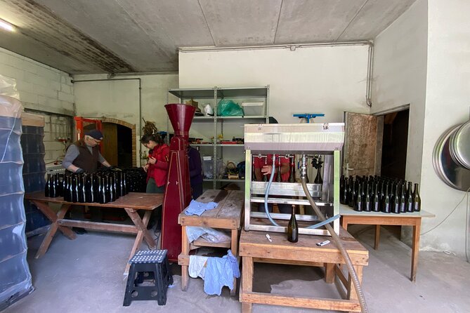 Taste and Tour Small Organic Wineries with a Winemaker - Starting at Bahnhofplatz 3 and heading into Lower Austria