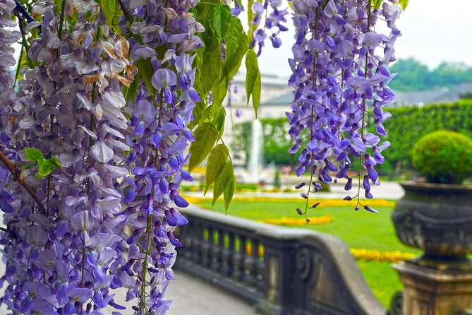 Transfer from Vienna to Salzburg with 2 hours for sightseeing - Picking the right stop for your route