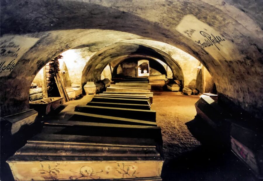 Vienna: 1.5-Hour Underground Walking Tour - Cellars, walls, and the practical history of Vienna