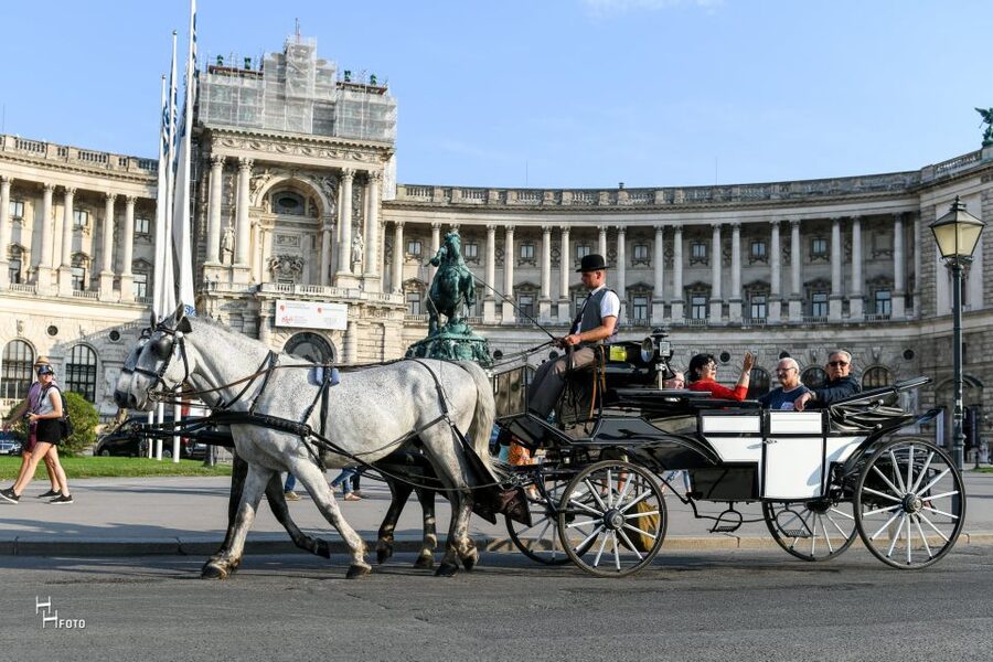 Vienna: 30-Minute Fiaker Ride in the Old Town - Finding your carriage beside St. Stephen’s Cathedral