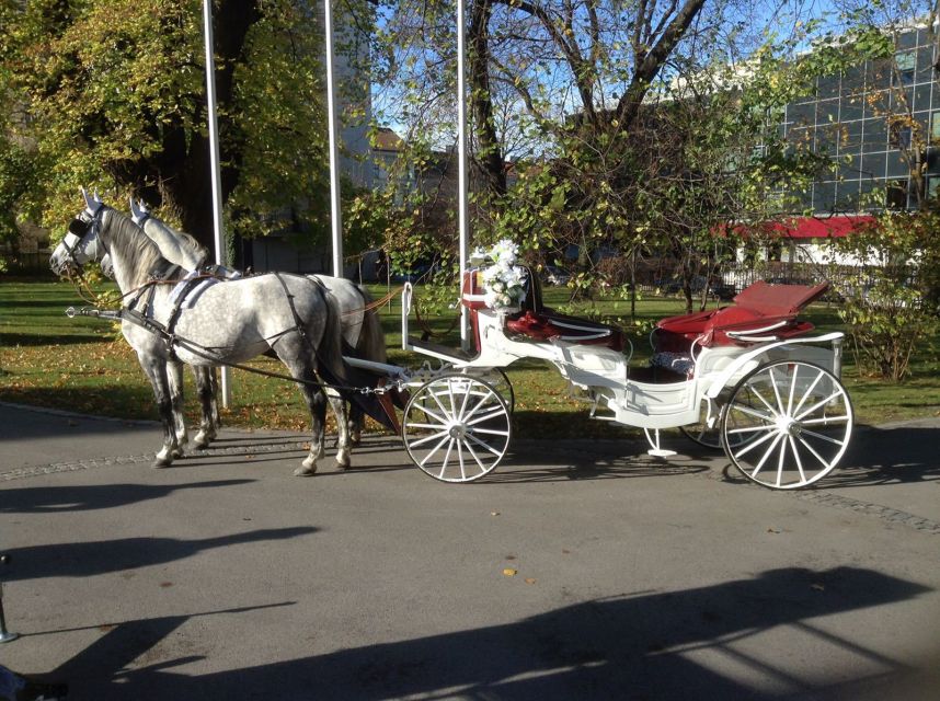 Vienna: 30-Minute Fiaker Ride in the Old Town - What the coachmen add to the ride