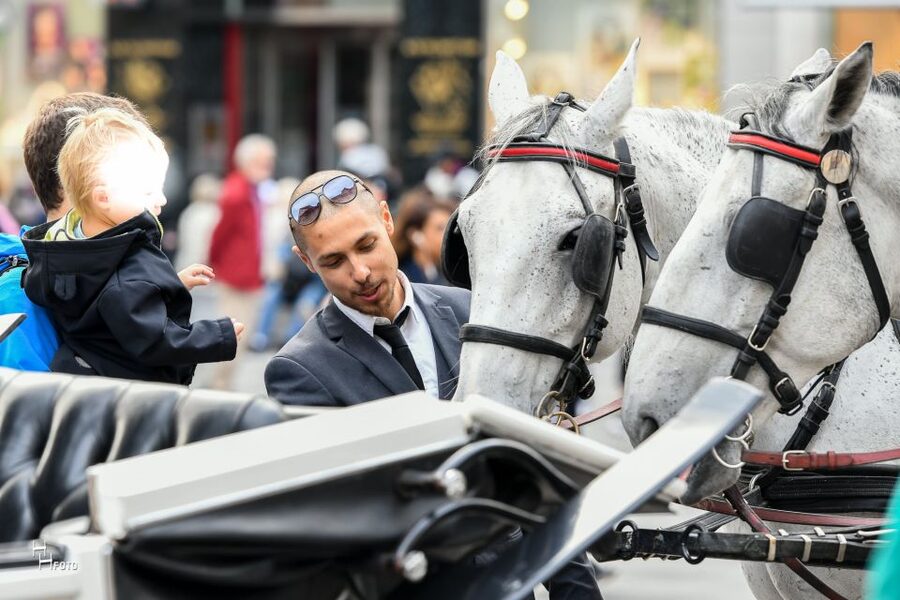 Vienna: 30-Minute Fiaker Ride in the Old Town - Comfort, weather, and the open carriage question