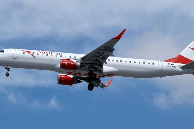 Vienna Airport Transfer from Vienna City with Private Driver - City pickup at the address you choose
