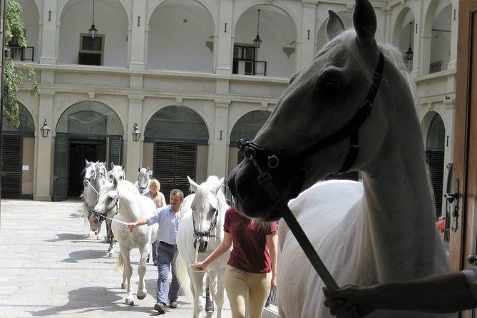 Vienna at First Glance a Private Walking Tour for First Timers - The Hofburg reveals 650 years of Habsburg power