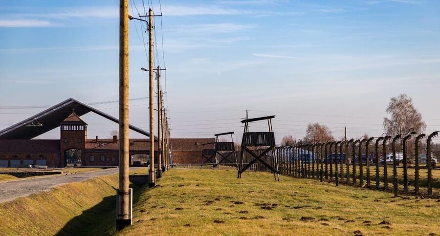 Vienna: Auschwitz Birkenau Full-Day Tour w/ Hotel Transfers - Is $666 a fair price?