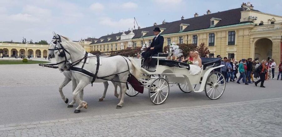 Vienna: Carriage Ride Through Schönbrunn Palace Gardens - Key points to know before booking