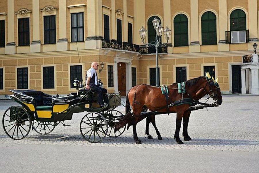 Vienna: Carriage Ride Through Schönbrunn Palace Gardens - Why a Fiaker ride works well at Schönbrunn